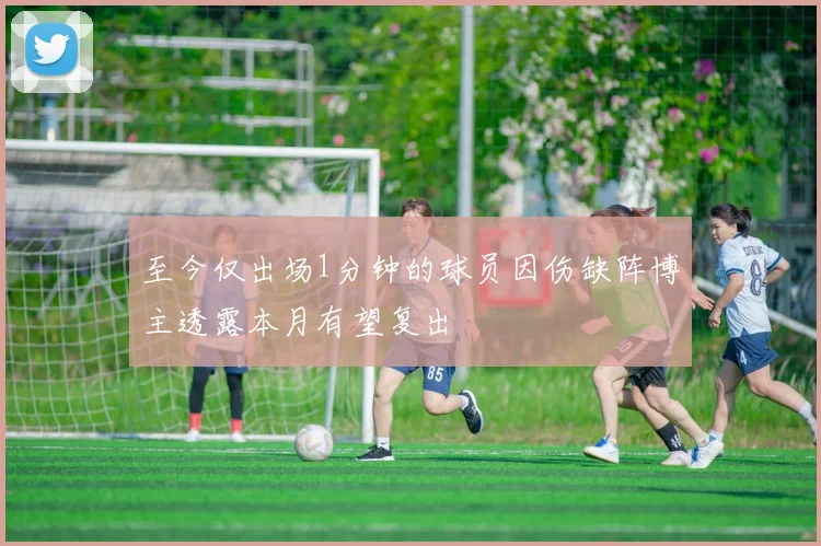 至今仅出场1分钟的球员因伤缺阵博主透露本月有望复出