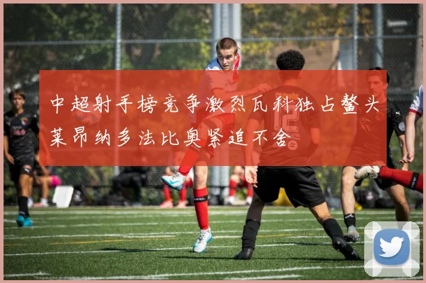 中超射手榜竞争激烈瓦科独占鳌头莱昂纳多法比奥紧追不舍