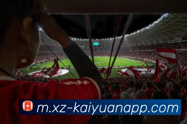 多媒体互动体验