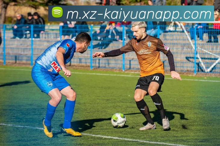 开元体育APP 高清赛事图